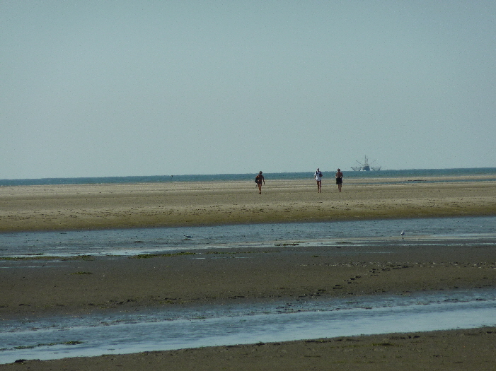 Wattwanderer auf dem R�ckweg / hiker at their return from the mudflats