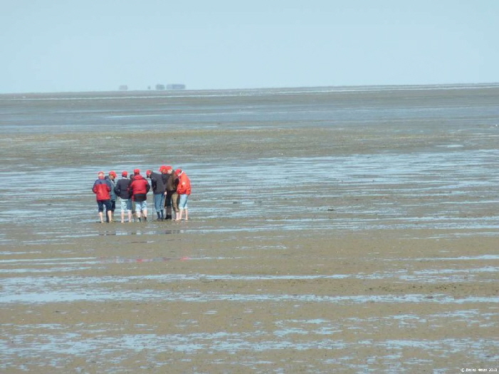 Wattenmeer F�hrung / guided tour in the mudflats